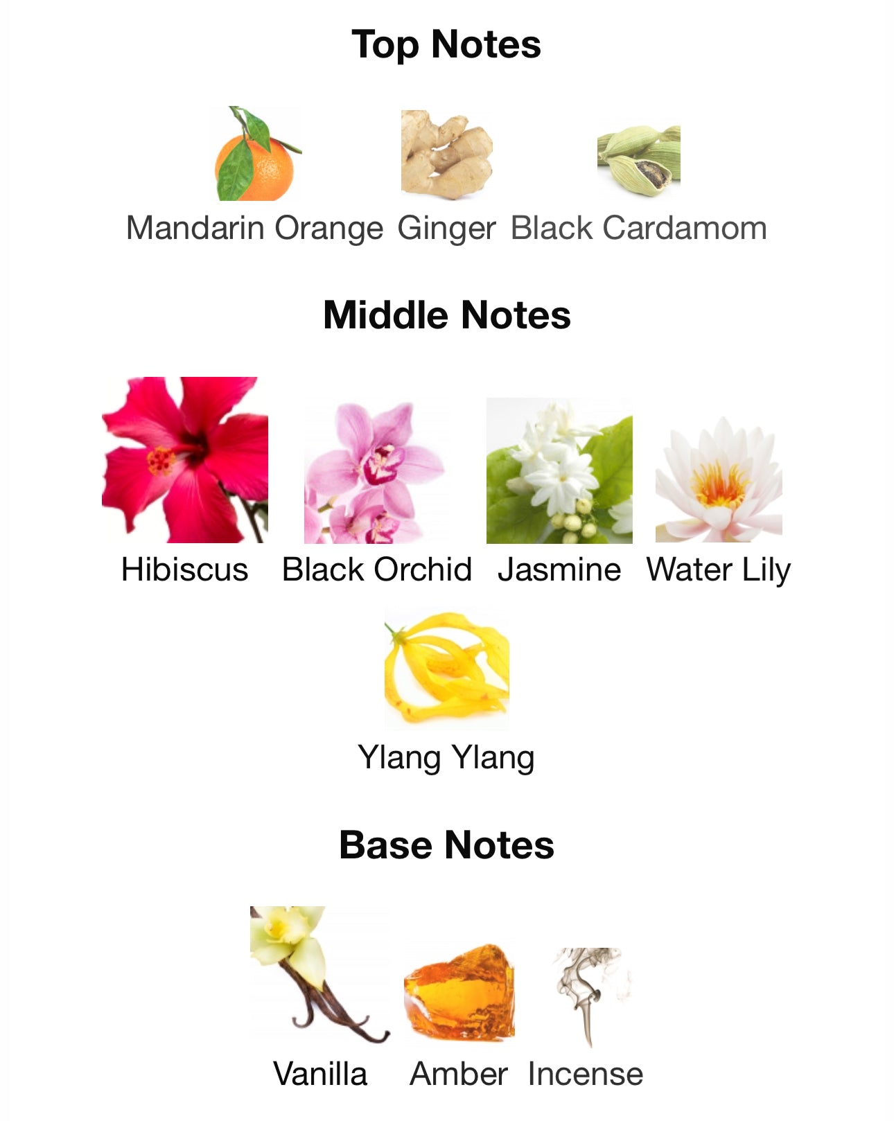 Andromeda’s Inspired by Red Hibiscus Eau De Parfum Jo Malone